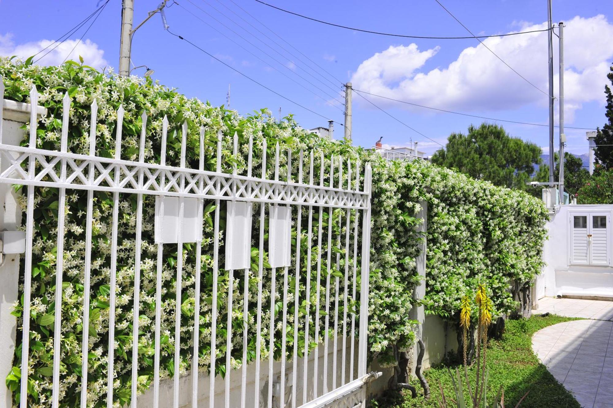 Peloponeese Corinthos Seaside Villa For Short Rent Exterior photo